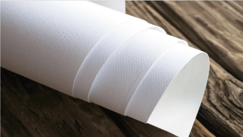 Rolled Canvas Print - 3.2 Image