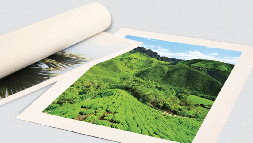 Rolled Canvas Print - 2.2 Image