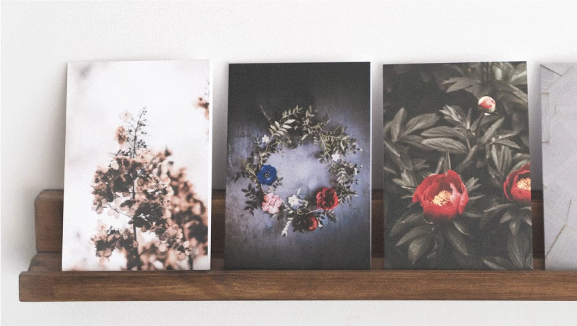 Stretched Canvas Prints - 1.2 Image